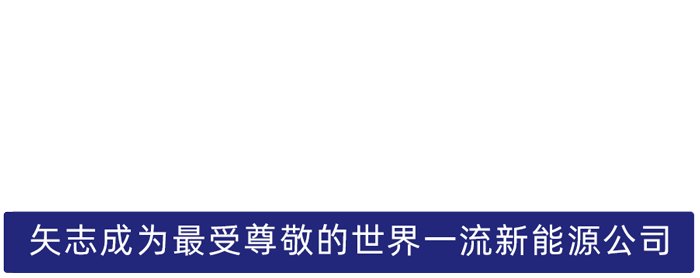 MRCAT猫先生股份